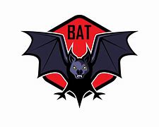 Image result for Bat Name Logo