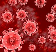 Image result for Bacterial HIV