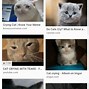 Image result for Crying Woman and Cat Meme