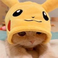 Image result for Pikachu Cat Meme