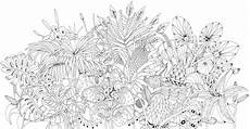 malvorlagen urwald zum ausdrucken exotischer urwald ausmalen und entspannen gu kreativ malvorlagen urwald zum ausdrucken exotischer urwald ausmalen und entspannen gu kreativ