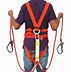 Image result for Harness Hook Clips