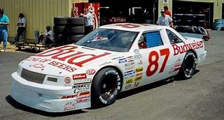 Image result for NASCAR 87 Car