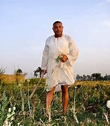 Image result for Egyptian Farmer