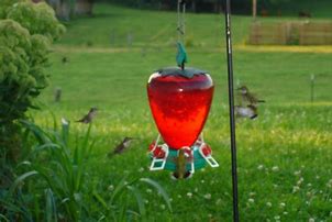 Image result for Hooks for Hanging Bird Feeders