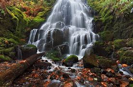 Image result for Moss Fall Waterfall
