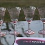 Image result for Pink Etched Champagne Glass
