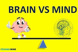 Image result for What Is the Difference Between a Brain and Mind
