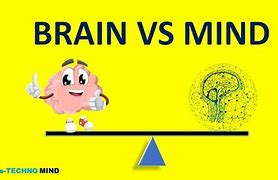 Image result for Mind or Brain