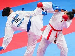 Image result for Types of Karate Kicks Aocc