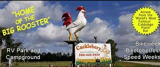 Image result for 1401 S. Dixie Fwy, New Smyrna Beach, FL 32168 United States