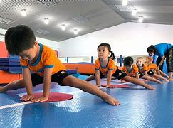 Image result for Sport Kids Gymnastics