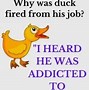Image result for Baby Duck Jokes