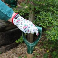 Image result for Ladies Cotton Gardening Gloves