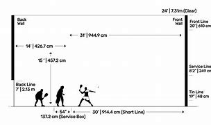 Image result for Squash Court Dimensions