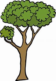 Image result for Many Trees Cartoon
