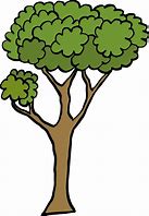 Image result for Cartoon Tree