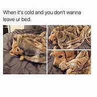 Image result for Funny Winter Dog Memes