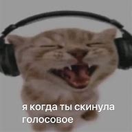 Image result for Cat Headphones Meme
