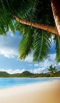 Image result for Beach Phone Wallpaper
