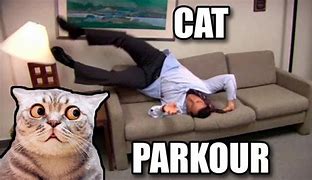 Image result for Parkour Cat Meme