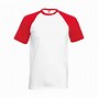 Image result for Tommyinnit Red Shirt Skin