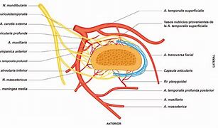 Image result for c�ndilo