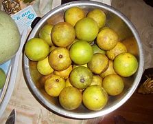 Image result for Fruits in Guyana