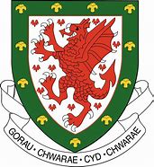 Image result for Wales FA Badge