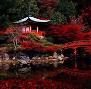 Image result for Tokyo Landscape