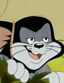Image result for Tom and Jerry Tales Butch