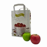 Image result for Apple Bag of 10