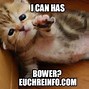 Image result for Euchre Memes