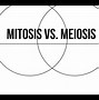 Image result for Mitosis and Meiosis Venn Diagram Answers
