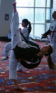 Image result for Korean Martial Arts Styles
