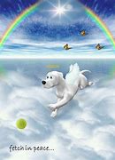 Image result for Rainbow Bridge Dog Meme