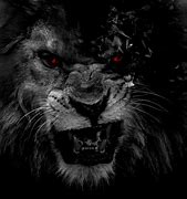 Image result for 3D Black and White Lion