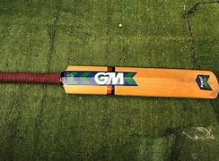 Image result for Cricket Bat Evolution