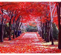 Image result for Japan Autumn Season