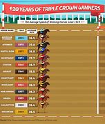 Image result for Horse Racing Winner