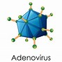 Image result for Adénovirus