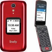 Image result for Handicap Cell Phones