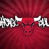 Image result for NBA Chicago Bulls