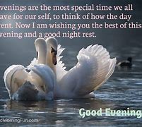 Image result for Funny Good Evening Quotes