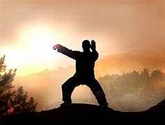 Image result for Traditional Martial Arts