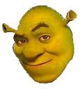 Image result for Shrek T-Pose