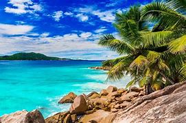 Image result for Free Wallpaper Summer Beaches
