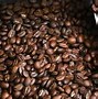 Image result for High Altitude Coffee Beans