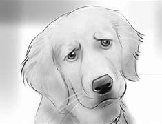 Image result for Sad Dog Drawing