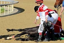 Image result for Race Horse Knute